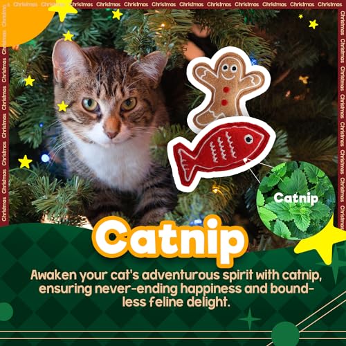 2 Set Cat Toys with Catnip G70736