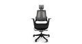 Ergonomic Chair T7162