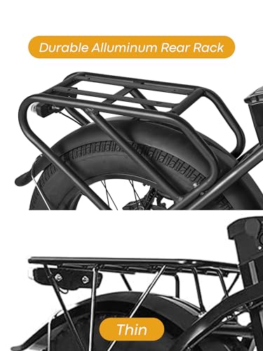 20.8Ah Removable Battery 750W Motor 7 Speed 20 x 4.0 Fat Tire Electric Bike S6354