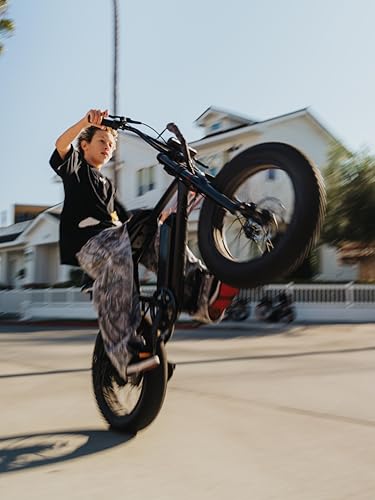 Peak 750W 25MPH Electric Bike with 20" Fat Tires and Front Suspension Y612868