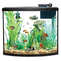 Bow Front Aquarium Tank Starter Kit M253