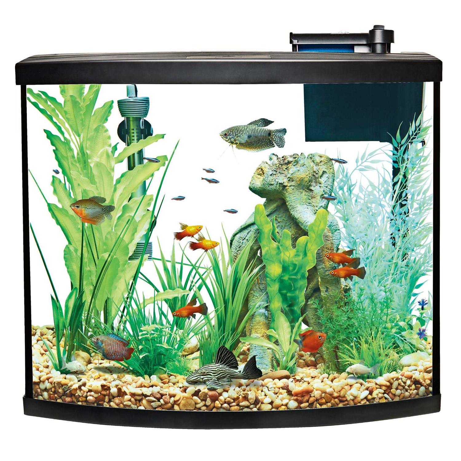 Bow Front Aquarium Tank Starter Kit M253
