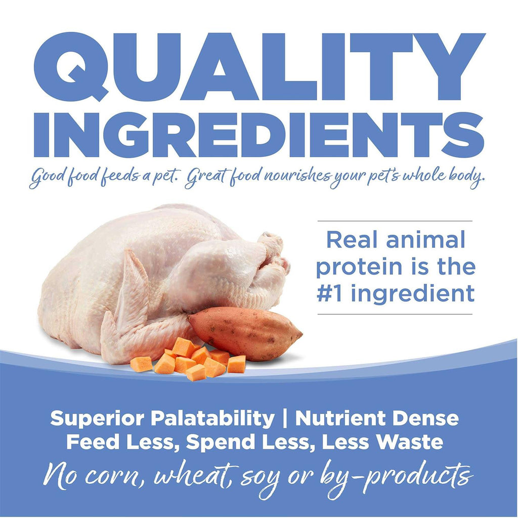 Grain-Free Turkey & Sweet Potato Dry Dog Food O20291