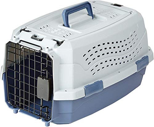 2-Door Top-Load Hard-Sided Pet Travel Carrier, Gray & Blue, 22.8"L x 15.0"W x 13.0"H T797354