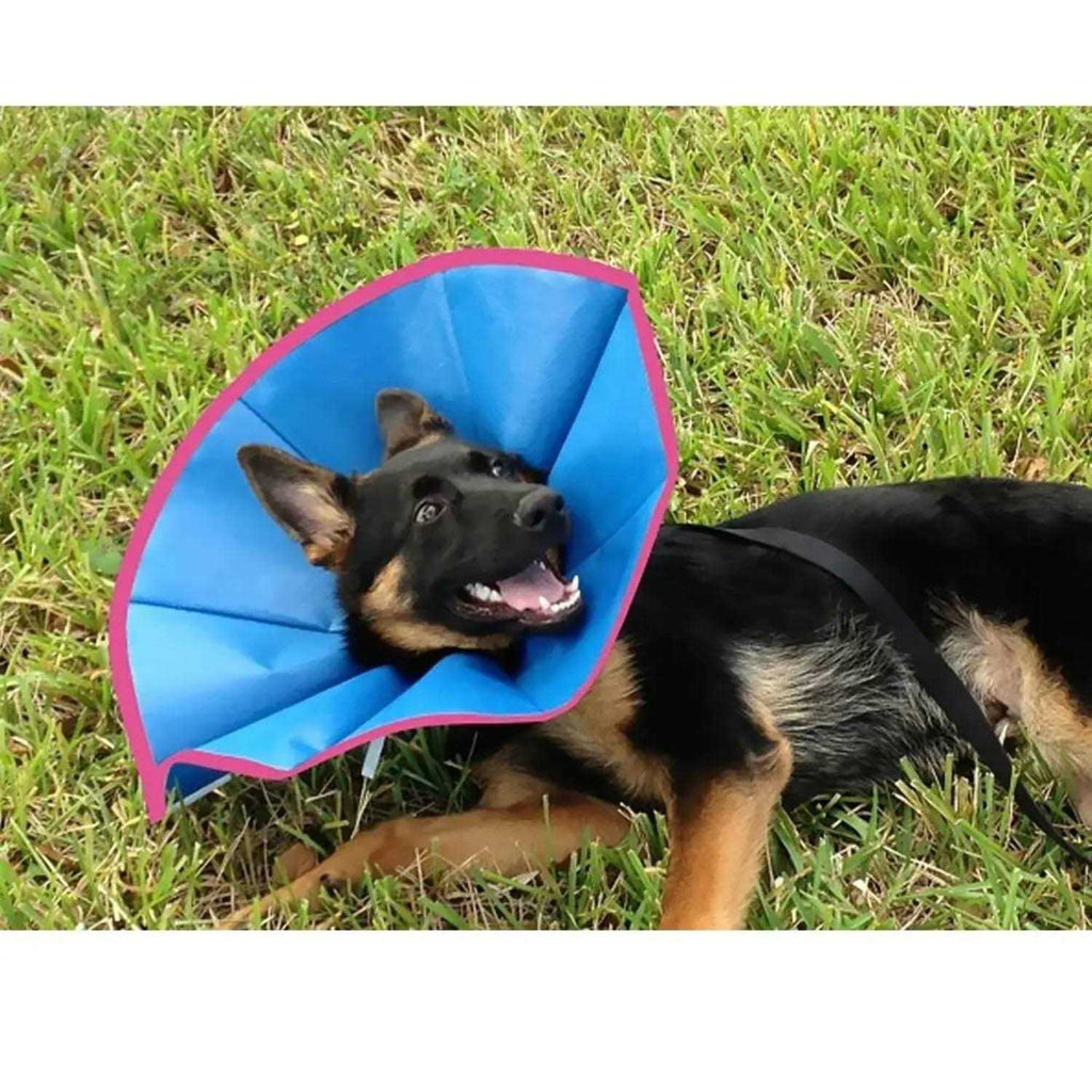Recovery Collar V192276