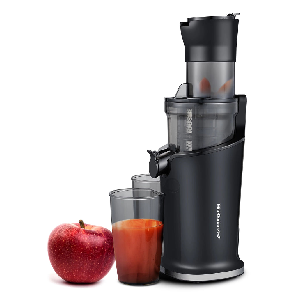 Black Mastication Slow Juicer 27oz H471