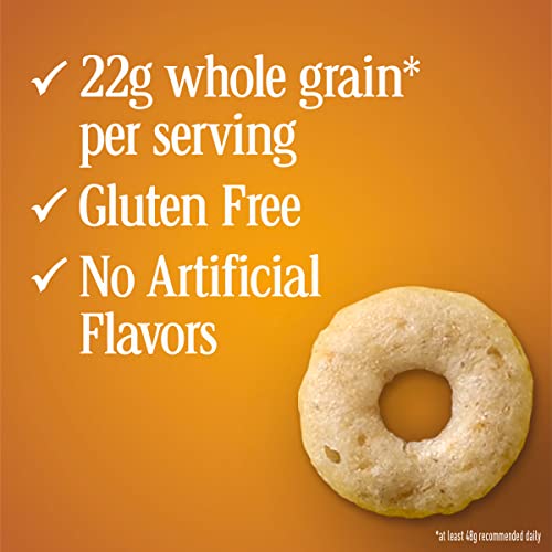 Gluten Free Whole Grain Oats Cereal, 32 oz D700
