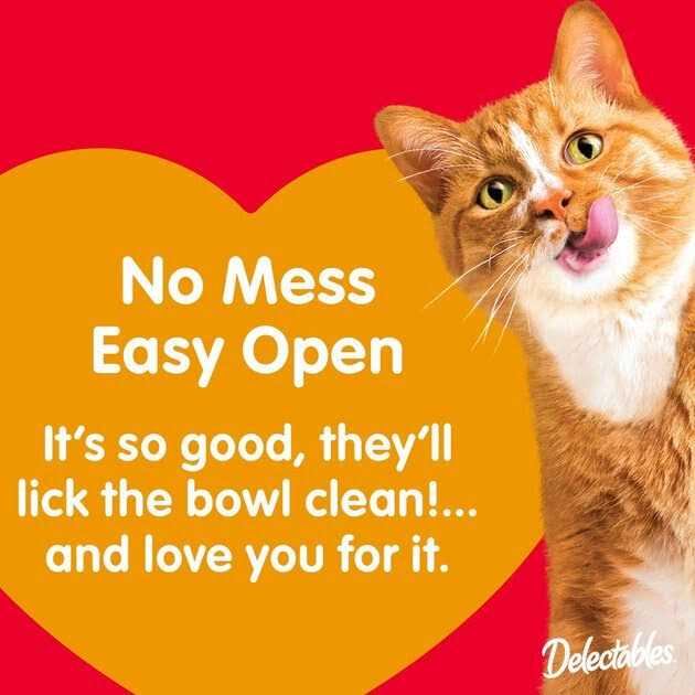 Chicken Savory Broths Lickable Cat Treat Z753152