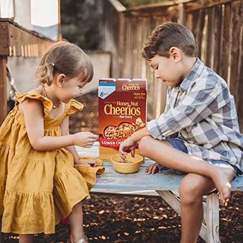 Gluten Free Whole Grain Oats Cereal, 32 oz D700