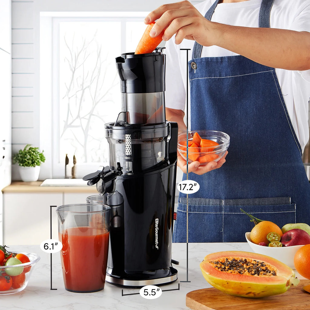 Black Mastication Slow Juicer 27oz H471