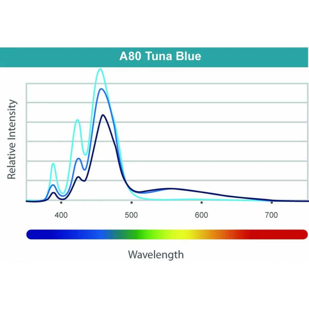 A80 Tuna Blue LED Light G969987