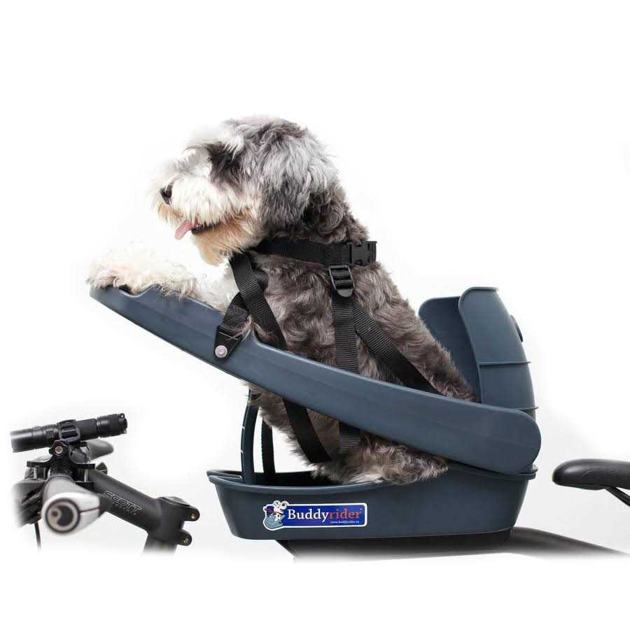 Dog Bicycle Seat R20220