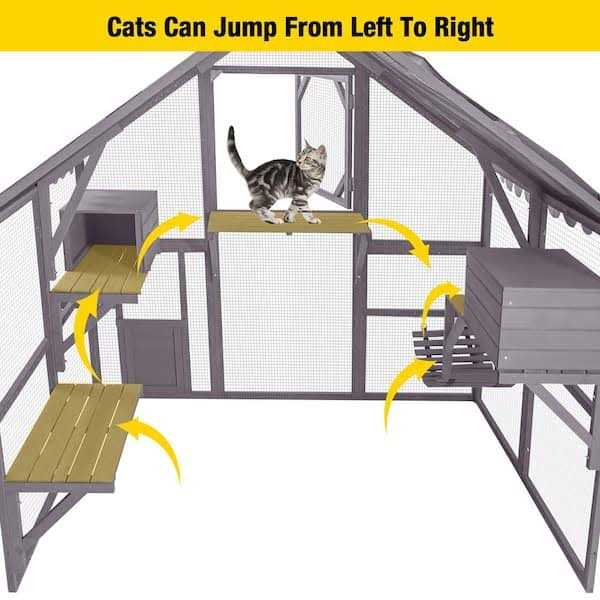 Outdoor Cat Run X129