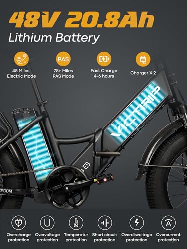 20.8Ah Removable Battery 750W Motor 7 Speed 20 x 4.0 Fat Tire Electric Bike S6354