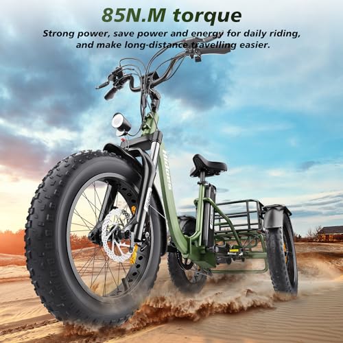 20"X 4.0" Fat Tire 48V 20Ah Lithium Battery 7 Speed Electric Tricycle Z97926