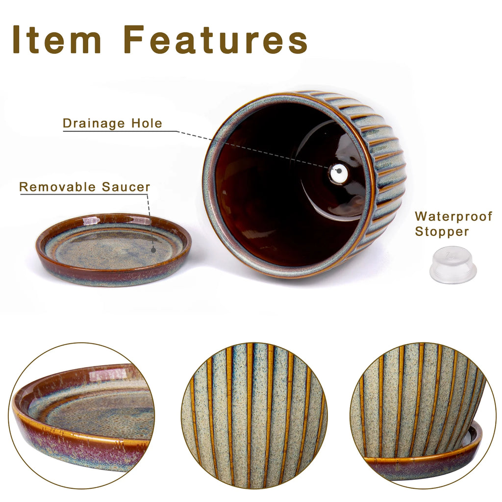 2 Pcs Ceramic Plant Pots with Saucer I229981