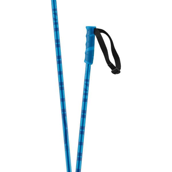 Ski Poles V93830