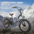 20" x4.0 Fat Tire 500W 48V/12Ah Removable Battery Electric Bike X34423