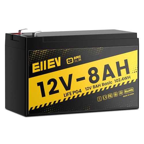 12V 100Ah LiFePO4 Battery with 100A BMS S1482