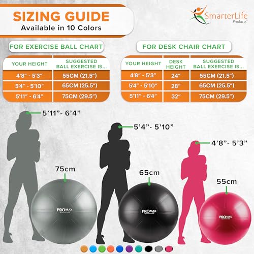 Exercise Ball T624584