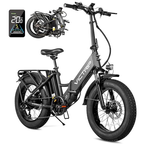 20.8Ah Removable Battery 750W Motor 7 Speed 20 x 4.0 Fat Tire Electric Bike S6354