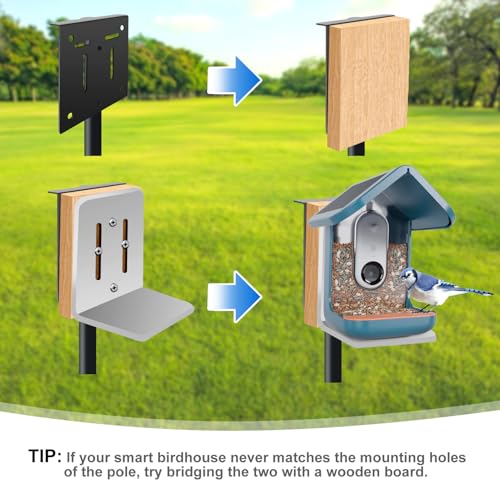 80In Bird House Pole, Heavy Duty with 5-Prong Base T512872