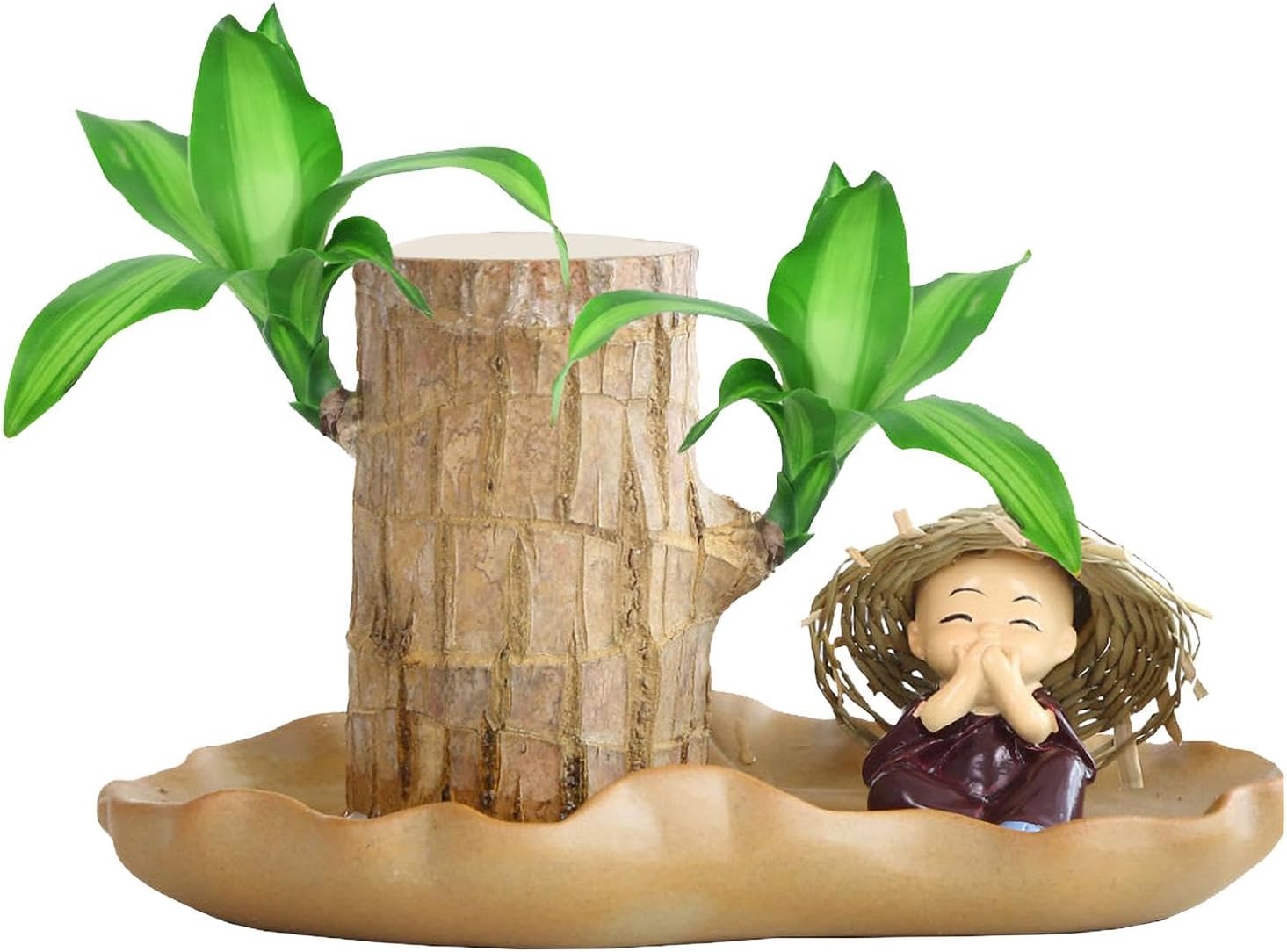 Brazilian Wood Plant I94126