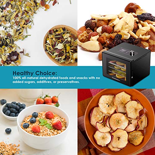 Stainless Steel Trays Food Dehydrator with Adjustable Temperature Controls I435