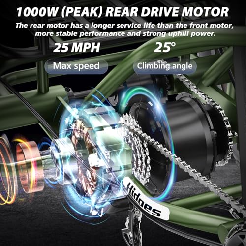20"X 4.0" Fat Tire 48V 20Ah Lithium Battery 7 Speed Electric Tricycle Z97926