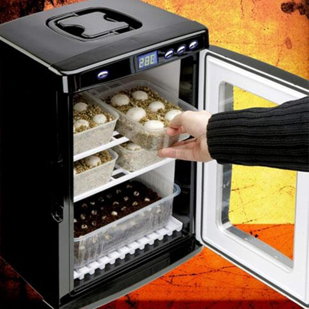 Black Reptile Egg Incubator 25L Capacity Mini Digital Cabinet Style with Heating and Cooling 5-60°C 12V/110V P17457