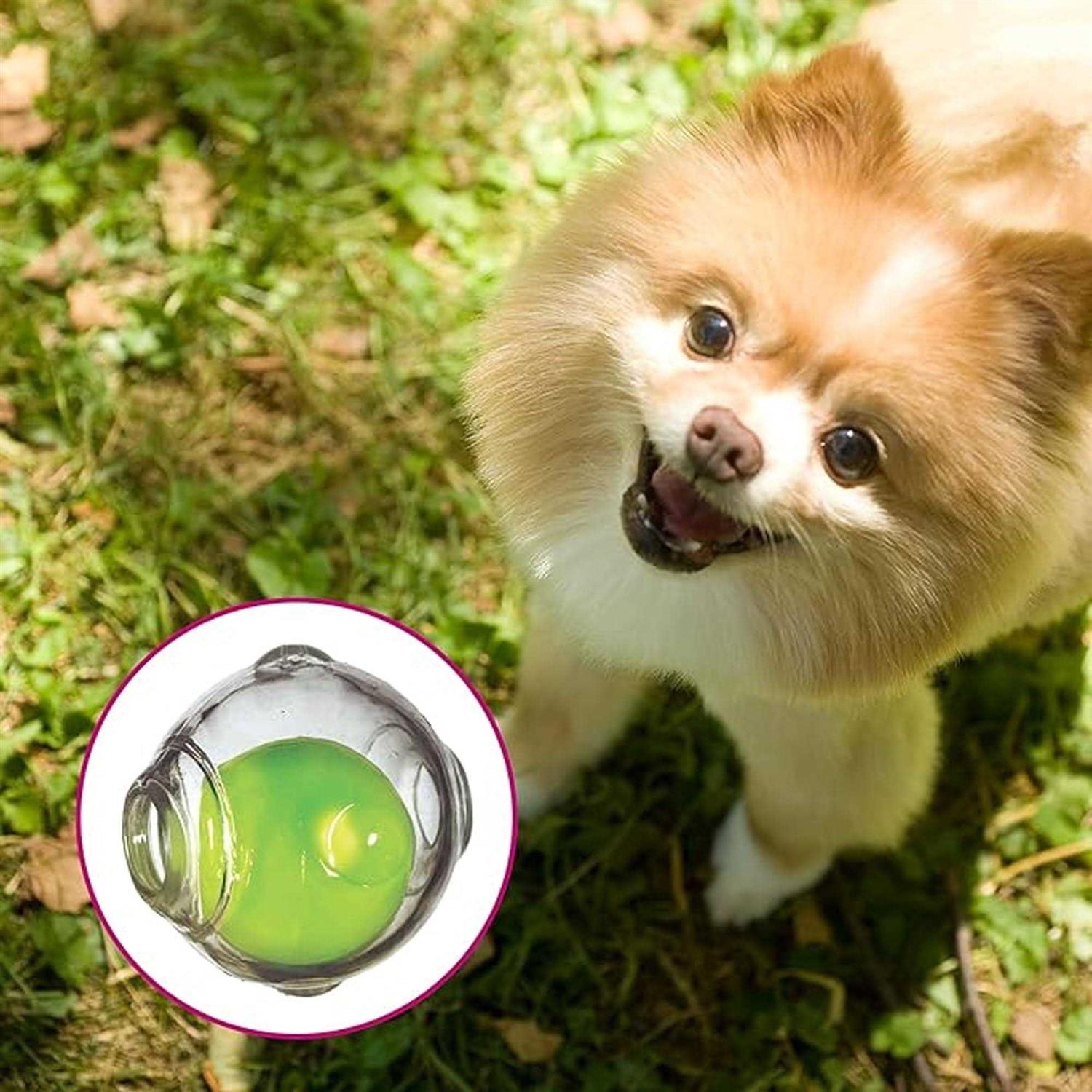 Squeaker Ball Pets D65938