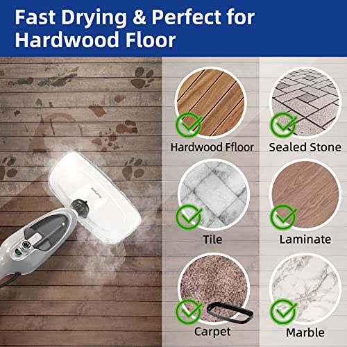 10-in-1 Handheld Steam Cleaner with 11 Accessories B9303