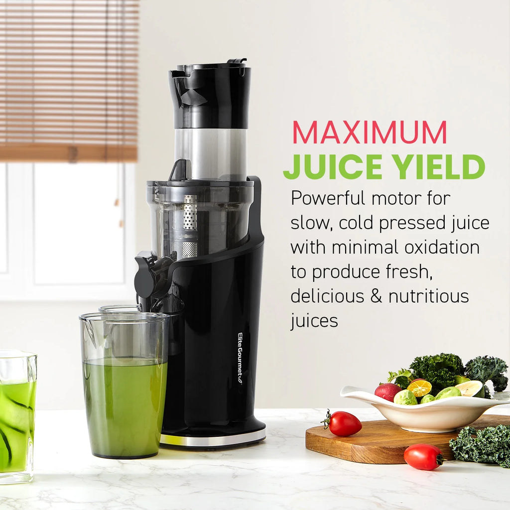 Black Mastication Slow Juicer 27oz H471