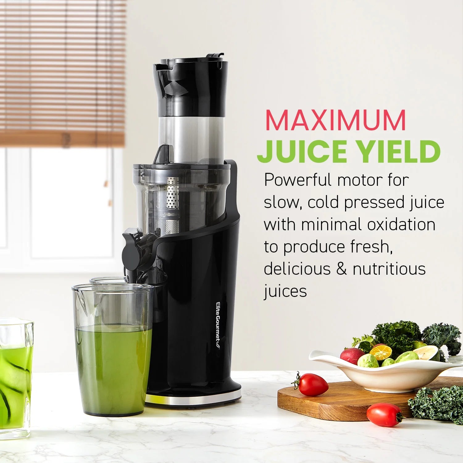 Black Mastication Slow Juicer 27oz H471