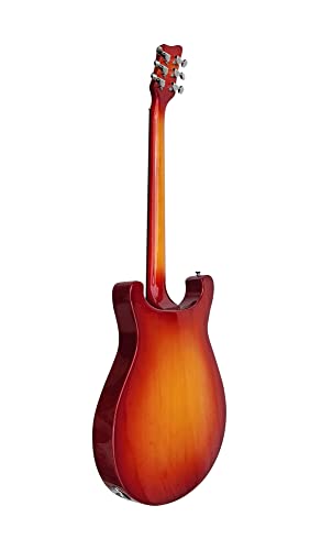3T Sunburst Semi Hollow Electric Guitar D819