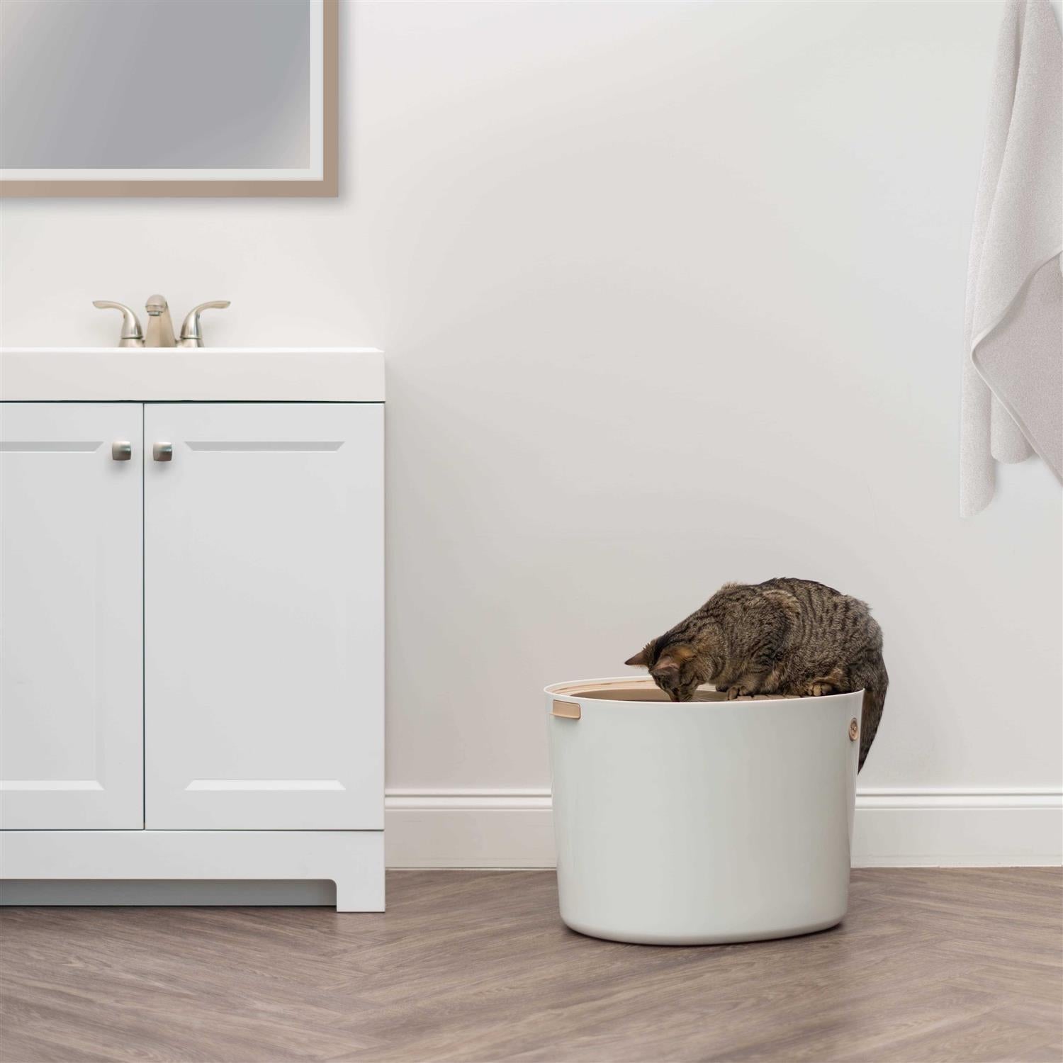 Top Entry Cat Litter Box with Scoop T454