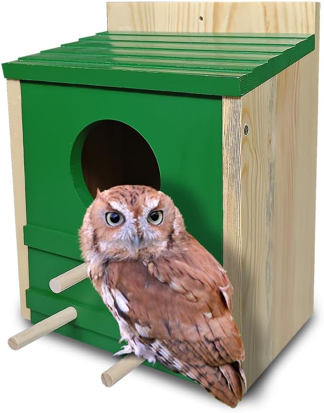 Cedar Wood Owl House P19016