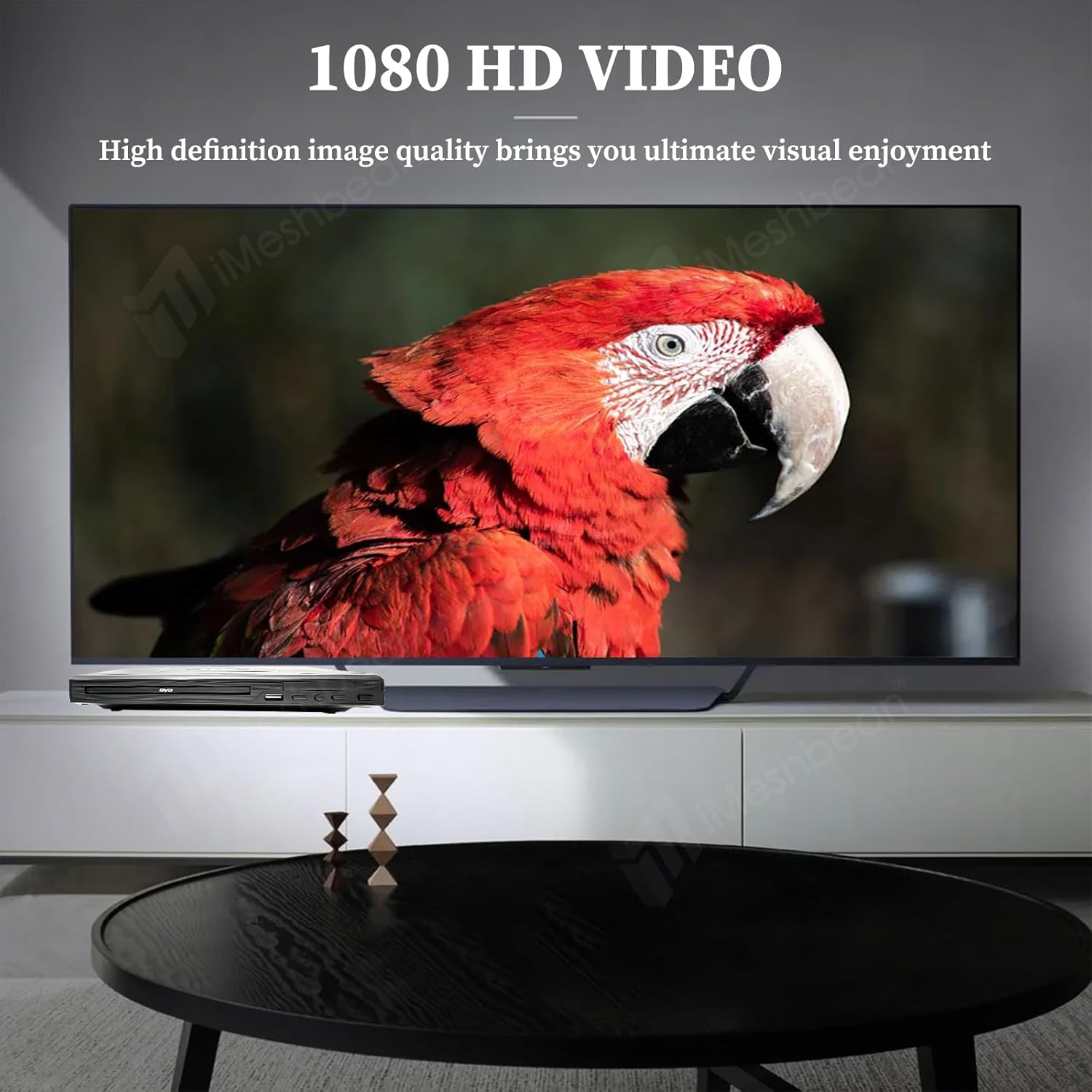 Mini DVD Player with AV Output USB Input Remote Control Q4059
