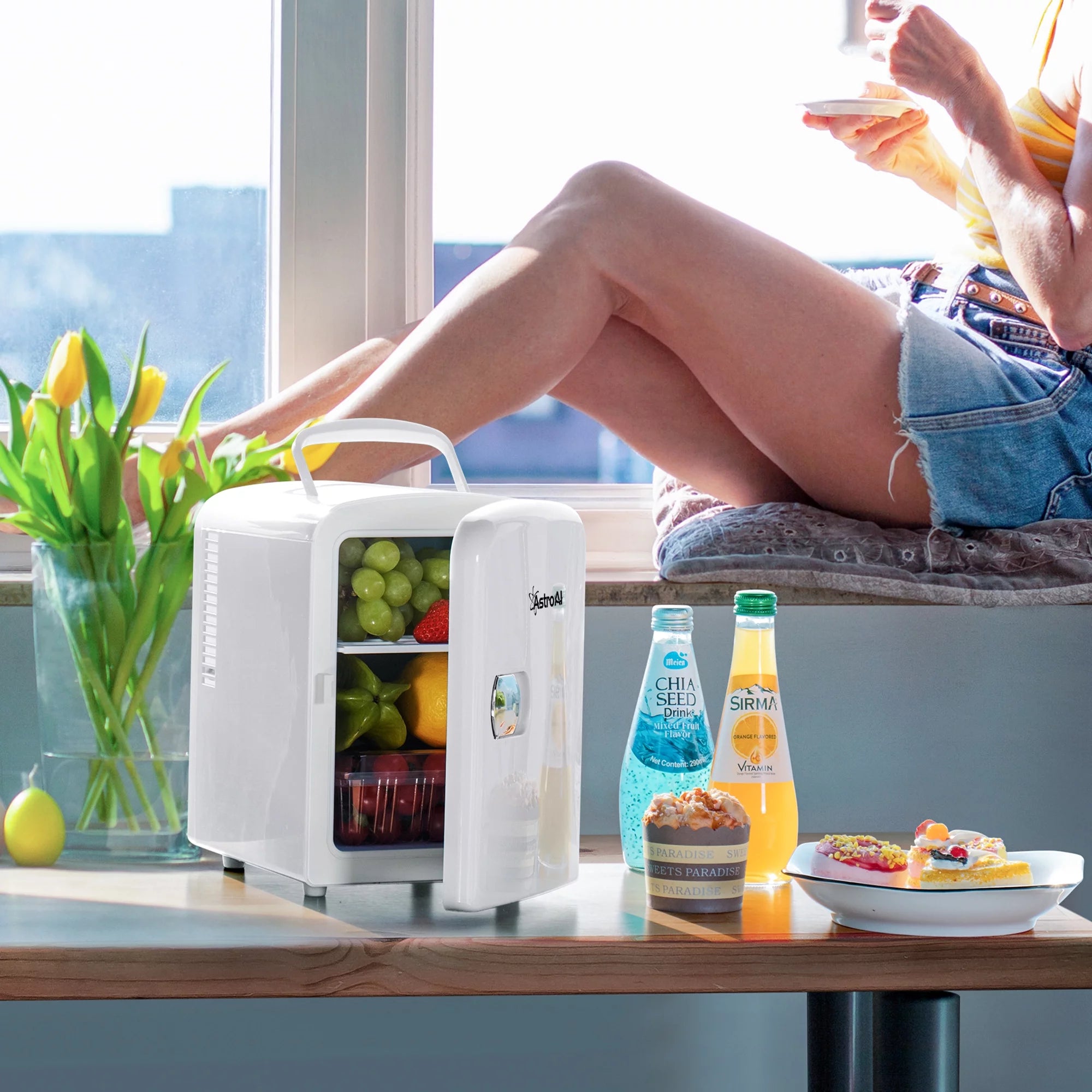6 Can 4 Liter Portable Electric Cooler X42739