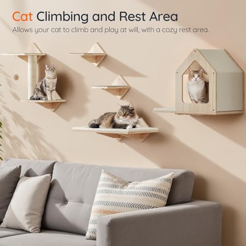 Natural Wood Cat Wall Shelves Set of 5 with House Steps Scratching Post Perch K6004