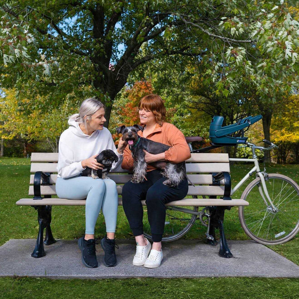 Dog Bicycle Seat R20220