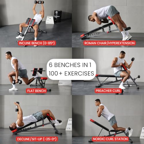 Multi-Functional Weight Bench I409