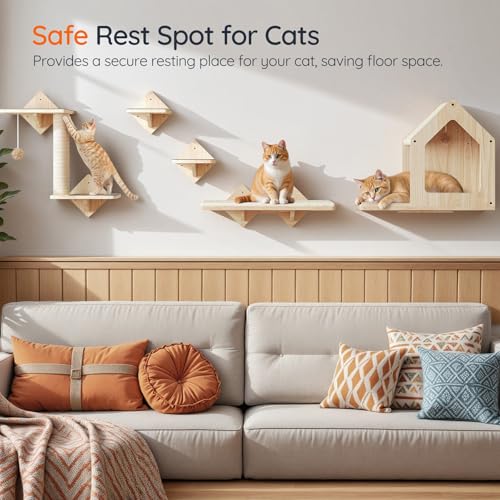 Natural Wood Cat Wall Shelves Set of 5 with House Steps Scratching Post Perch K6004