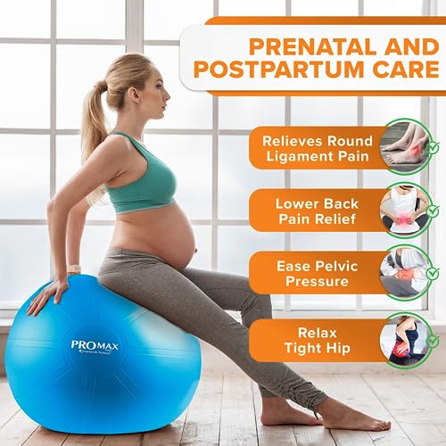 Exercise Ball T624584