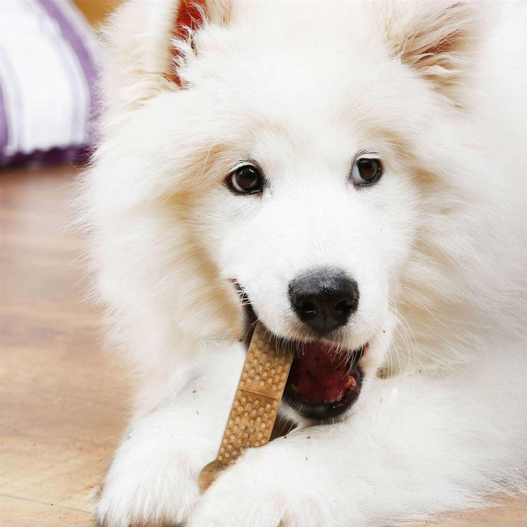 Large Dog Chews R35200