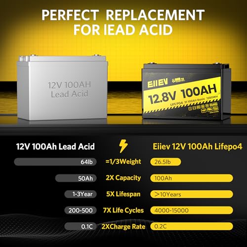 12V 100Ah LiFePO4 Battery with 100A BMS S1482