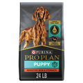 Sensitive Skin & Stomach Dry Puppy Food R152