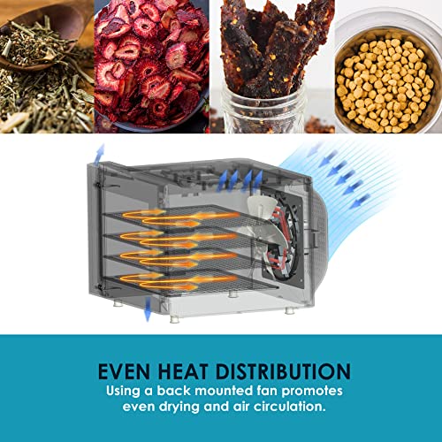 Stainless Steel Trays Food Dehydrator with Adjustable Temperature Controls I435
