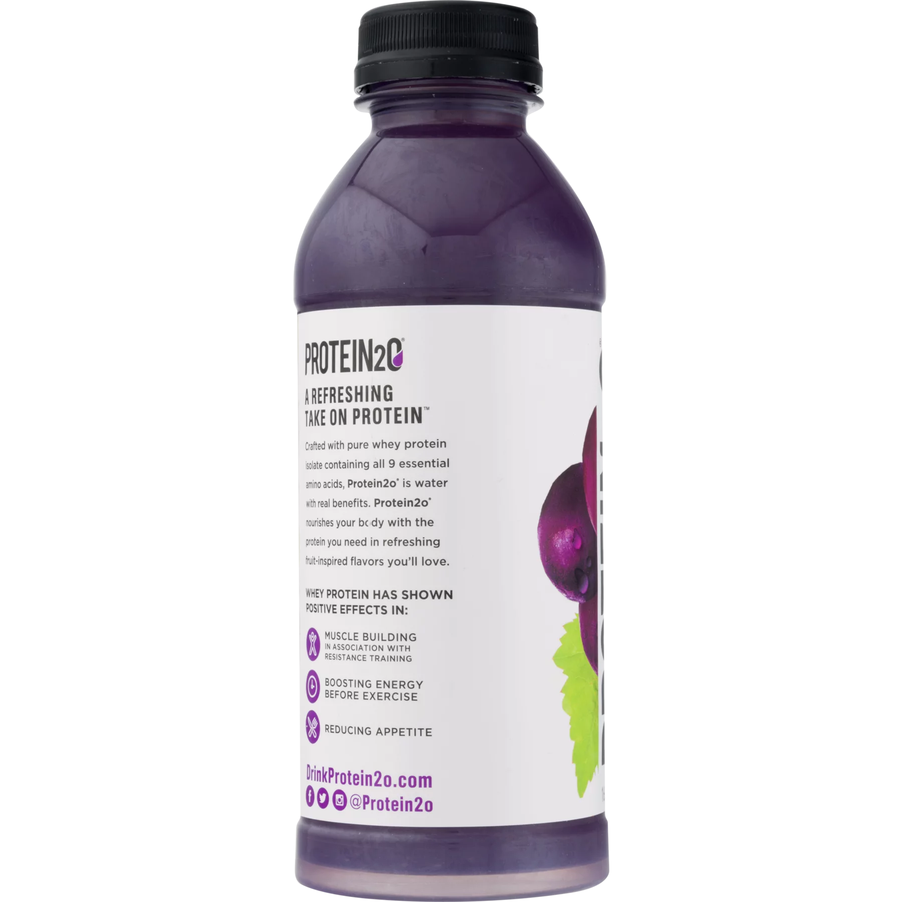 15g Whey Protein Infused Water, Harvest Grape, 16.9 oz Bottle Y6626