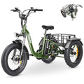 20"X 4.0" Fat Tire 48V 20Ah Lithium Battery 7 Speed Electric Tricycle Z97926